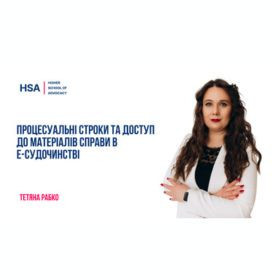 Процесуальні строки та доступ до матеріалів справи в е-судочинстві