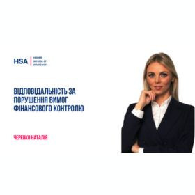 Відповідальність за порушення вимог фінансового контролю