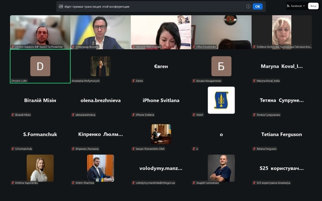 ВЛК та ЕКОПФО за кордоном: адвокати вказали на бар’єри дистанційних процедур