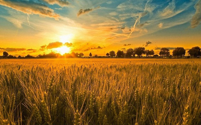 Національна Асоціація Адвокатів УкраЇни - Експертна думка Комітету з  аграрного та земельного права НААУ щодо спадкування права постійного  користування земельною ділянкою, наданою його засновнику для ведення  фермерського господарства
