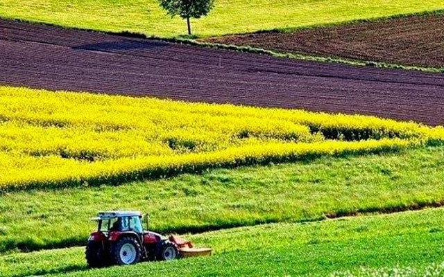 Земля: відголоски децентралізації